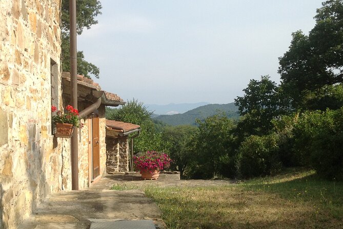 Cooking Class for Pasta Lovers in Florence Country House - Sauce options: ragù, cheese cream, or seafood flavors