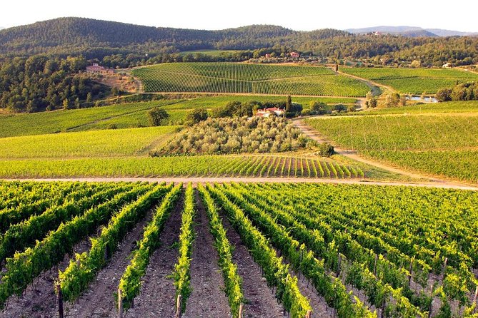 Day Trip Pisa, Siena, San Gimignano. - Siena time: Piazza del Campo and historic monuments in 90 minutes