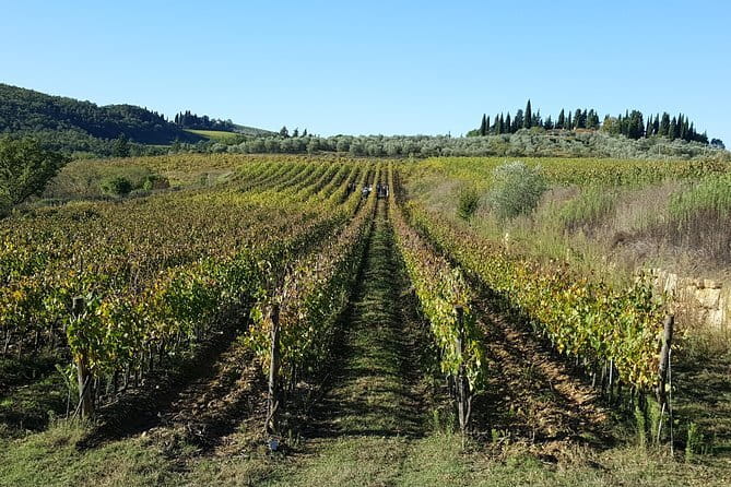 Discover Chianti Through its Wines - A 90-Minute Case Study in Chianti at Casa Sola