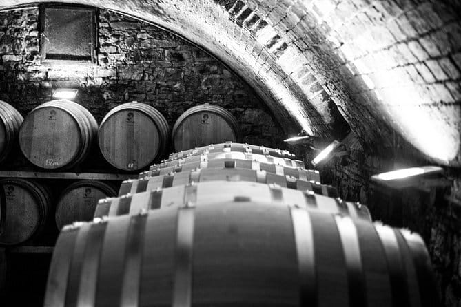 Discover Chianti Through its Wines - Vineyard and Olive Fields First, Then Cellars