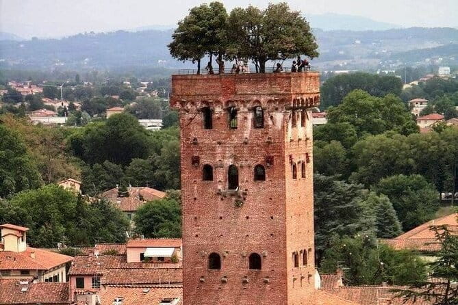 Discover Lucca and Pisa and Enjoy Buccellato Cake: Full Day Tour - Piazza Anfiteatro and the Lucca Sights You Should Prioritize