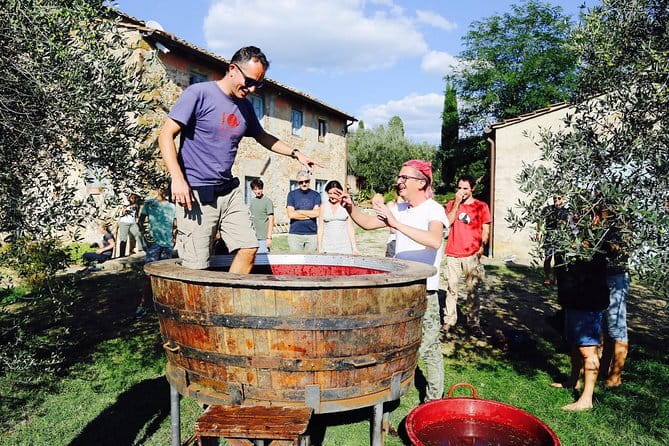Discover Organic and Biodynamic Chianti Small Wineries - Key Points to Know Before You Go
