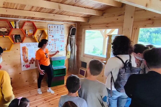 Discovering Bees in Volterra - The family-led vibe: Valentina, Simone, and the farm atmosphere