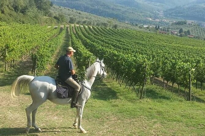 E-bike 2.5 hour Florence & Tuscany With Fresh Olive Oil and Bread - San Miniato al Monte: The Florence View That Actually Lands