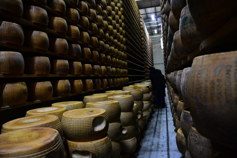 Emila-Romagna: Parmigiano, Prosciutto, Wine & Balsamic Tour - Key highlights that make this day trip worth your time
