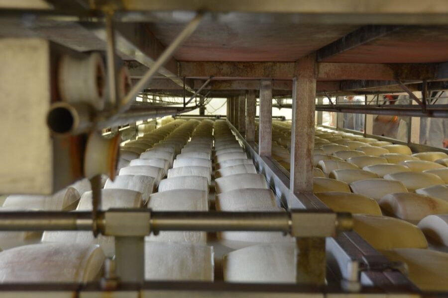 Emila-Romagna: Parmigiano, Prosciutto, Wine & Balsamic Tour - Villabianca and lunch: balsamic vinegar production with a real meal