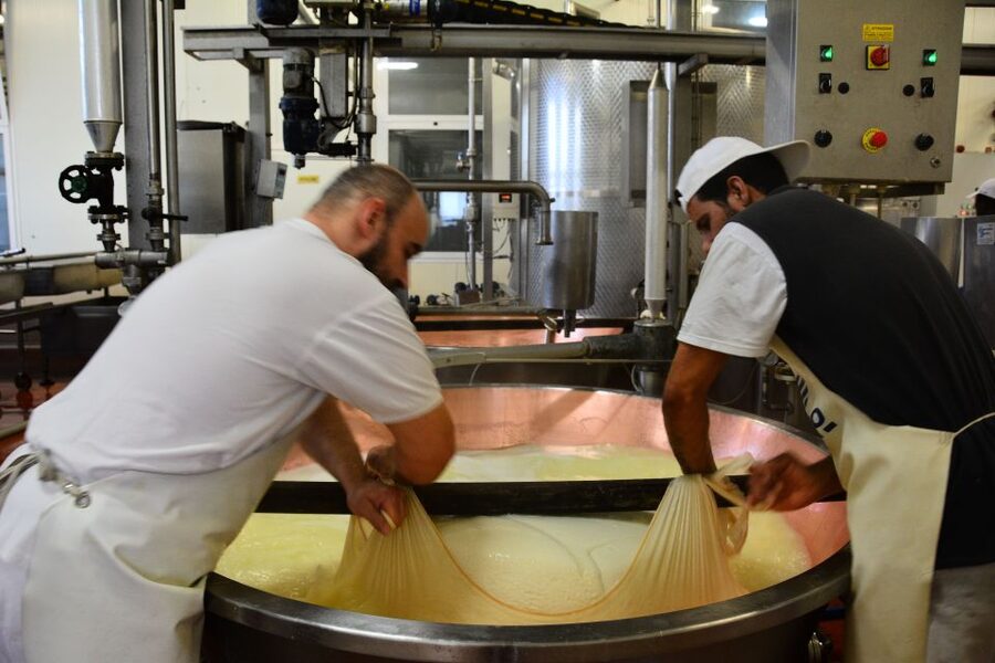 Emila-Romagna: Parmigiano, Prosciutto, Wine & Balsamic Tour - What you’ll eat and drink, and how to pace the day