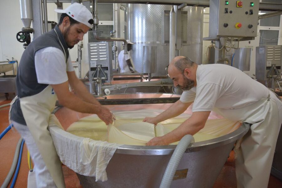 Emila-Romagna: Parmigiano, Prosciutto, Wine & Balsamic Tour - Price and value: is $498 per person reasonable?