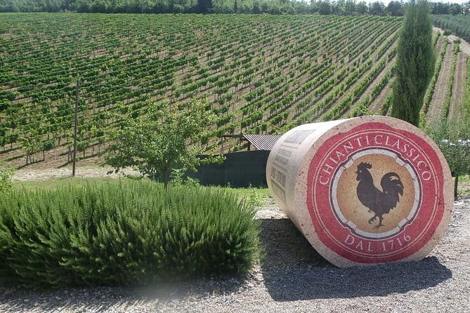 Essence of Chianti Small Group Tour with Lunch and Tastings from Florence - Key Points to Know Before You Go