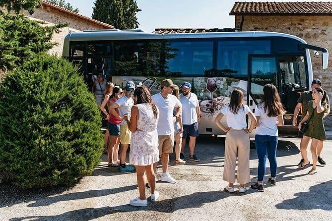 Essence of Chianti Small Group Tour with Lunch and Tastings from Florence - Stop 1: Tenuta Riseccoli, the Organic Hilltop Welcome