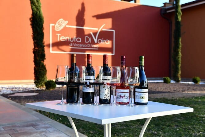 Exclusive Bolgheri from Florence: The Land of the Super Tuscan - A private Bolgheri day that starts with comfort