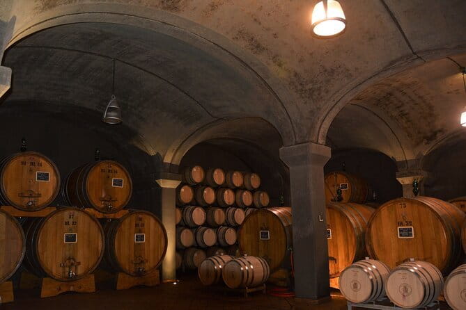 Exclusive Brunello di Montalcino tour from Florence - Key things that make this Brunello day different