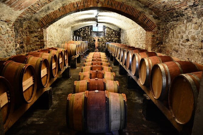 Exclusive Chianti Classico Day Trip from Florence - Key things that make this Chianti Classico trip work