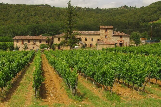 Exclusive Chianti Classico Day Trip from Florence - Luiano in San Casciano in Val di Pesa: where tradition meets Sangiovese focus