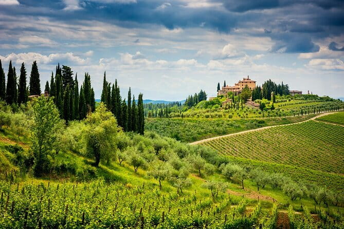 Exclusive Chianti Classico Day Trip from Florence - The last winery near Panzano in Chianti: a modern start with older roots