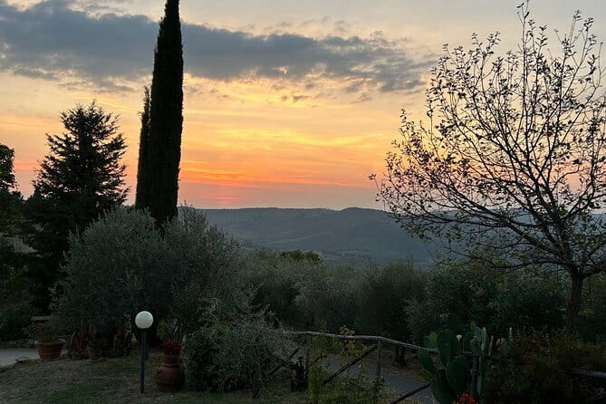 Exclusive Chianti Classico Day Trip from Florence - Price and what you really get for $509.57