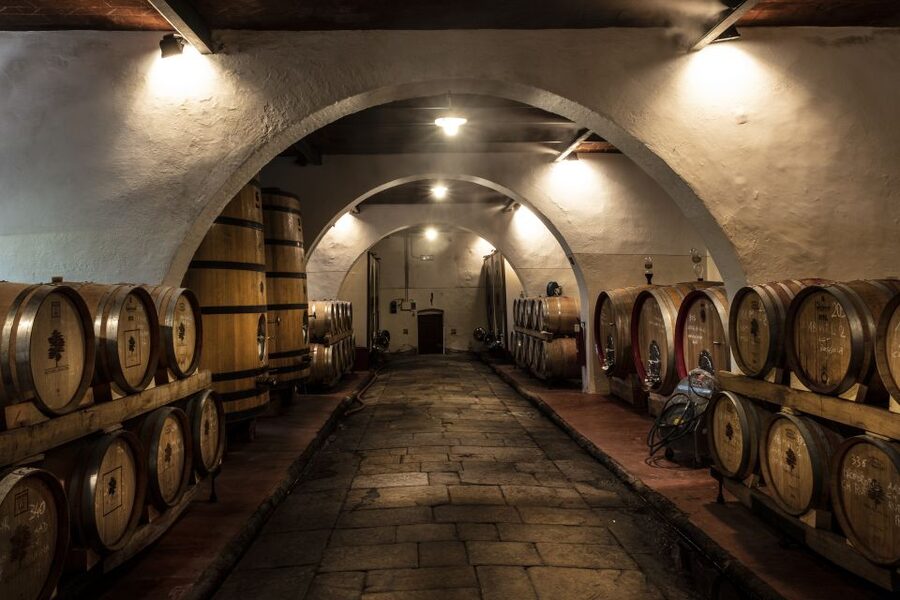 Exclusive Chianti Rufina Half-Day with lunch from Florence - Key things that make this Chianti Rufina tour worth your time