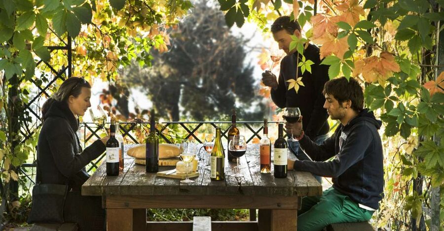 Exclusive Chianti Rufina Half-Day with lunch from Florence - Tenuta di Grignano: a guided intro plus focused wine tasting