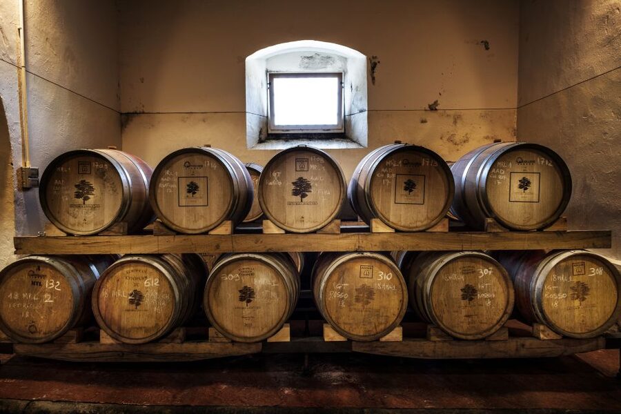 Exclusive Chianti Rufina Half-Day with lunch from Florence - Tenuta Bossi: the km 0 lunch and the second round of tastings