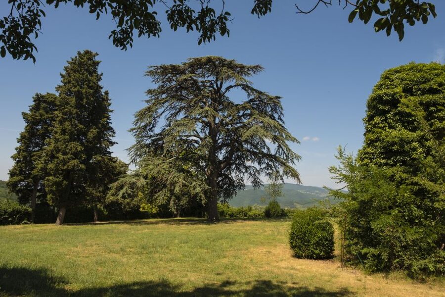 Exclusive Chianti Rufina Half-Day with lunch from Florence - Price and value: is $450.56 per person a fair deal?