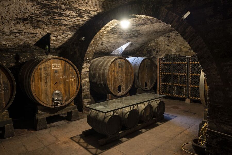 Exclusive Chianti Rufina Half-Day with lunch from Florence - Who this Chianti Rufina half-day suits best
