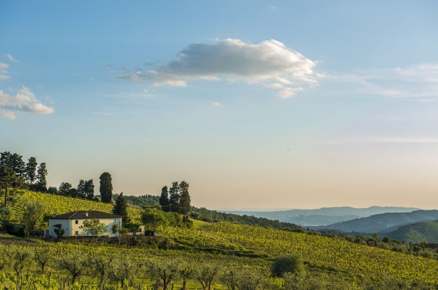 Exclusive Chianti Rufina Half-Day with lunch from Florence - Private pickup from Florence, and what that means for your day