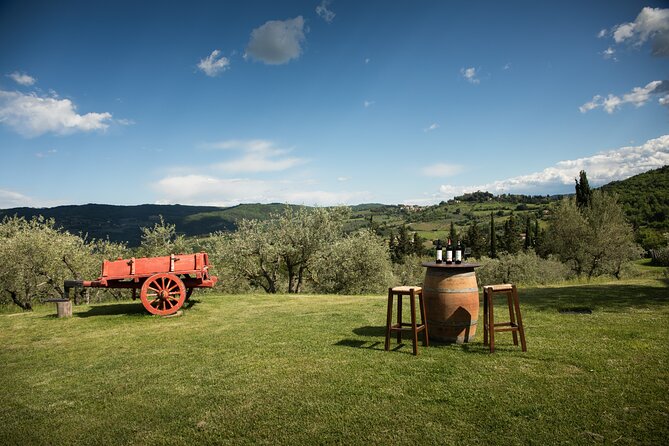 Exclusive lunch, Winery tour, Organic wines in Chianti Classico - Inside Panzanello: vineyards, estate stories, and who makes the wine