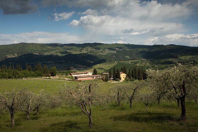 Exclusive lunch, Winery tour, Organic wines in Chianti Classico - Lunch at Panzanello: four courses, Tuscan specialties, and that tiramisu