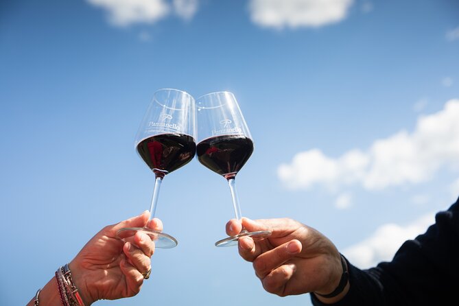 Exclusive lunch, Winery tour, Organic wines in Chianti Classico - Who this tour fits best (and who might want a different style)