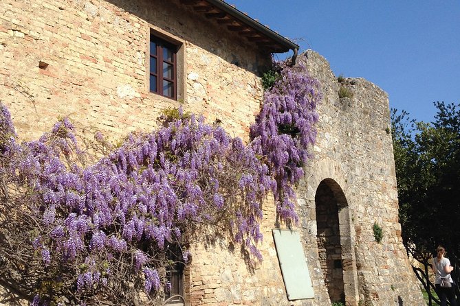 Exclusive Private tour To Siena and San Gimignano - Quick Hits Before You Go
