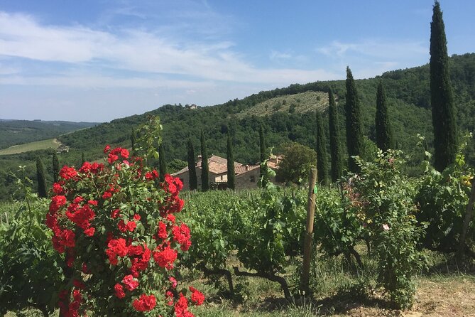 Exclusive Private tour To Siena and San Gimignano - The Private Group Advantage: Up to 6 People, Your Pace