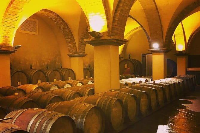 Exclusive Private Tuscany Wine Tour & Food Pairing Session - Key highlights at a glance