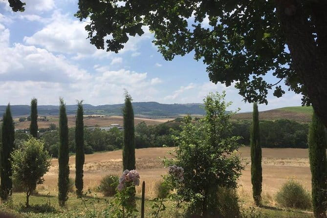 Exclusive Private Tuscany Wine Tour & Food Pairing Session - Private transport: no designated driver stress