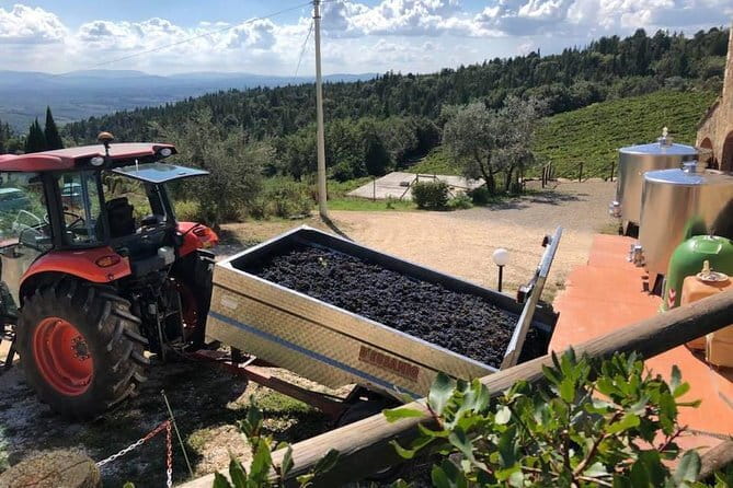 Exclusive Private Tuscany Wine Tour & Food Pairing Session - Level-3 sommelier guidance and what it changes
