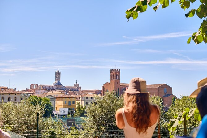 Exclusive Siena and San Gimignano Tour & Chianti Wine Experience - The practical Siena lesson: what you’re really learning
