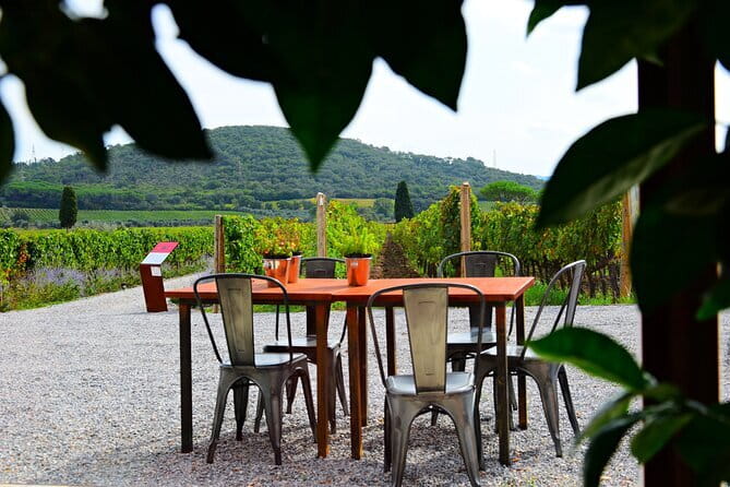 Exclusive Suvereto tour from Florence: Land of Elisa Bonaparte - Price and value: why it costs what it costs
