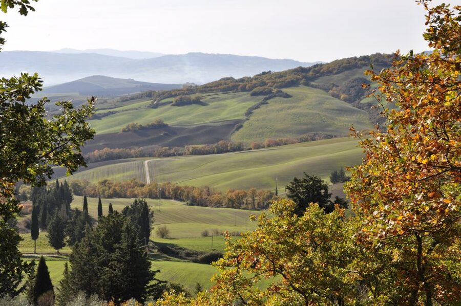 Exclusive Val d’Orcia Full-Day Wine Tour from Florence - Key things to know before you go