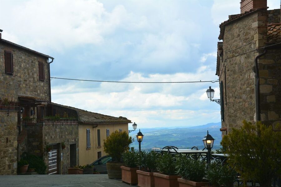 Exclusive Val d’Orcia Full-Day Wine Tour from Florence - The Wine Lineup: From 100% Sangiovese to Mixed Varietals