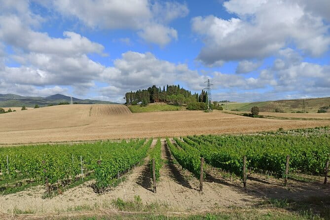 EXCLUSIVE Wine Tour in Chianti & San Gimignano (Lunch & Wine Tasting included) - Picking the Right Tour Day: Comfort, Timing, and Pace