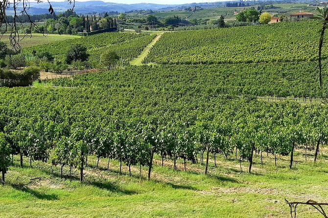EXCLUSIVE Wine Tour in Chianti & San Gimignano (Lunch & Wine Tasting included) - The Wine Tastings: Five Pour Moments, Not a Single Drip