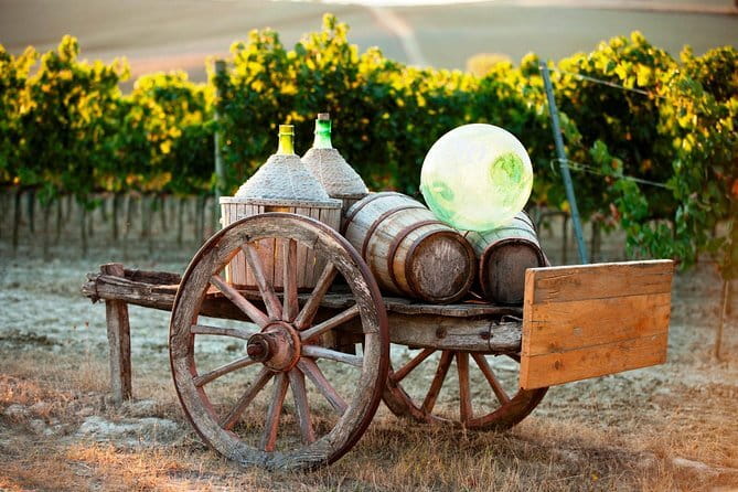 Exclusive Winery Tour with Tasting and Dinner in Chianti vineyard - First Winery Stop on Strada Statale 222 Chiantigiana: Cellar Tour Plus Pairings