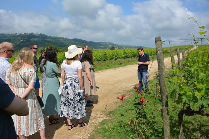 Experience Chianti & Cheese w/ 3 wineries & dairy visit—max 8 pp - How the Day Starts: A Quick Stop at Grape Tours