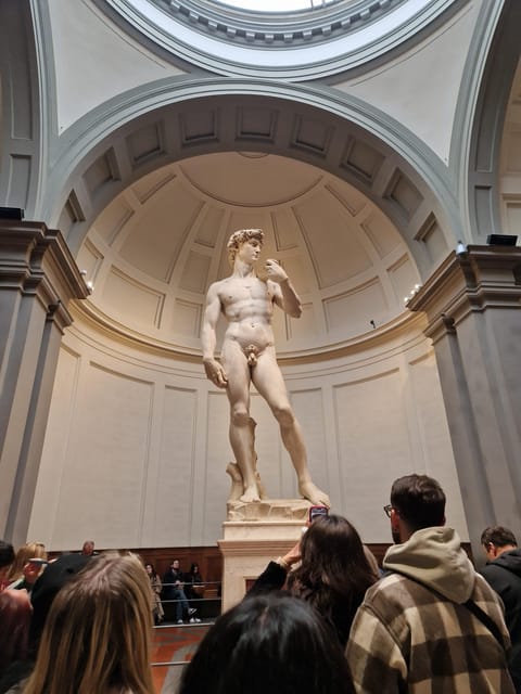 Explore Accademia Gallery on Free Museum Day - Your one-hour plan, meeting at Florence Tours and entering the gallery