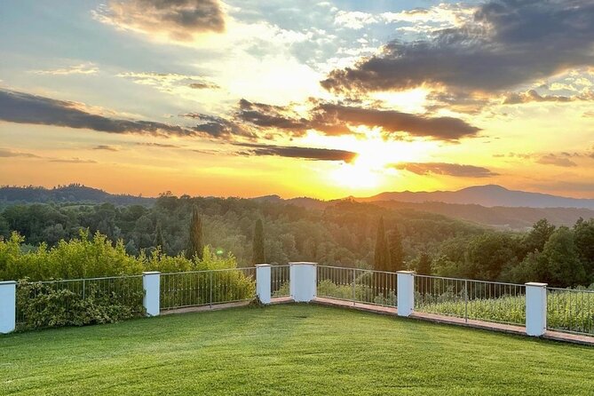 Farm To table Experience on an organic hilltop estate in Tuscany - Choosing your ingredients and learning the Tuscan approach to food