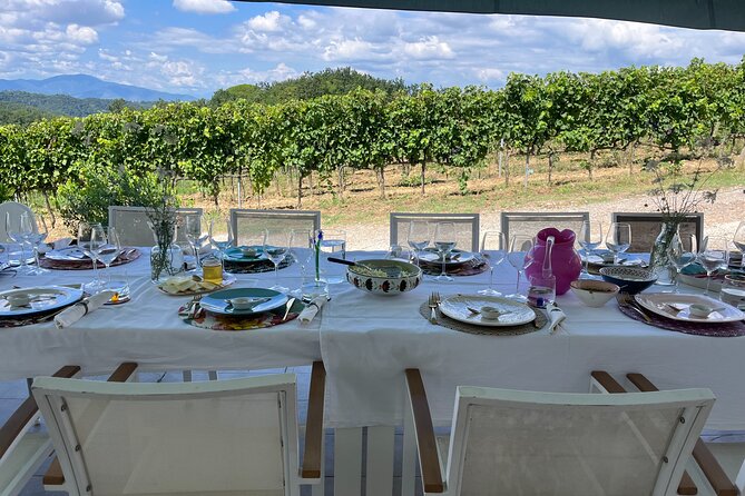 Farm To table Experience on an organic hilltop estate in Tuscany - Cooking together: a traditional three-course lunch on the estate