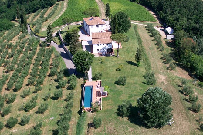 Farm To table Experience on an organic hilltop estate in Tuscany - The San Miniato farm walk: vineyards, olives, and garden ingredient hunting