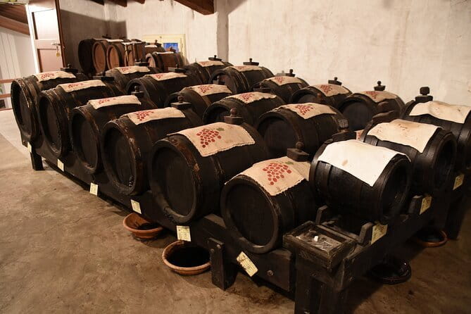 Ferrari Parmesan Cheese Balsamic Vinegar wine & food PRIVATE TOUR from FLORENCE - What the driver service is really worth