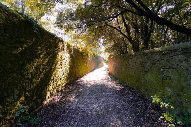 Fiesole Hike & Italian Aperitivo - The final aperitivo: Tuscan tastes with a view of your own