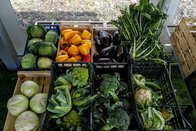 Fiesole: Tuscan Countryside Half Day E-Bike Tour & Farm visit - Roads, safety, and what to wear so you feel good after