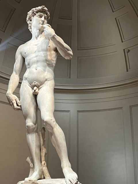 Florence: Accademia Gallery Guided Tour and Priority Entry - Key things to know before you go